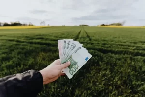 Como lucrar com frutas nativas do Cerrado vendendo em circuitos curtos