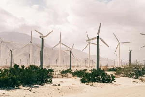 A demanda por créditos de carbono no Brasil está em alta, impulsionada por empresas que buscam compensar emissões e cumprir metas ambientais
